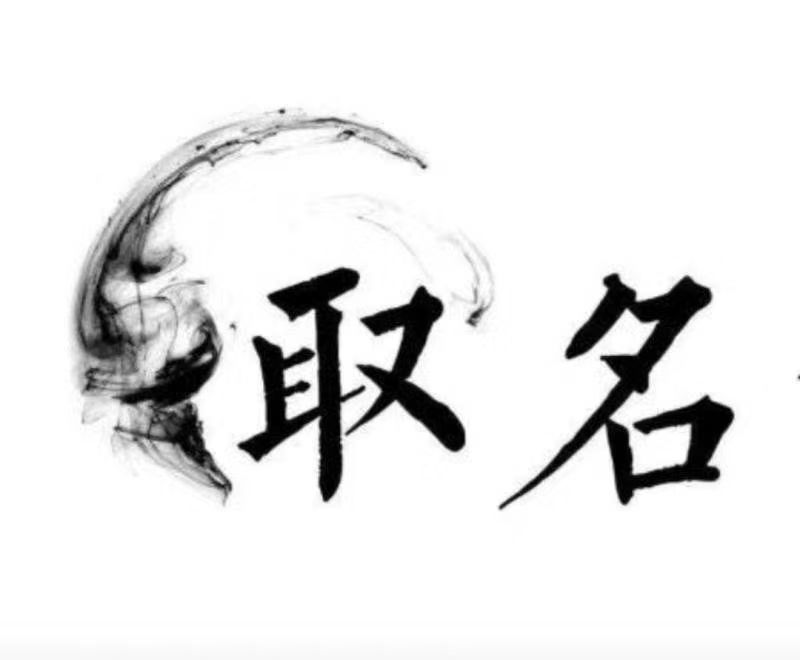  商南宝宝取名 大师一对一人工起名
